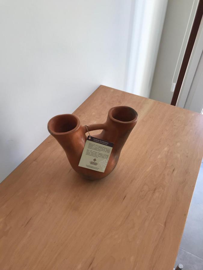 Umain 12 Apartman San Martín de los Andes Kültér fotó